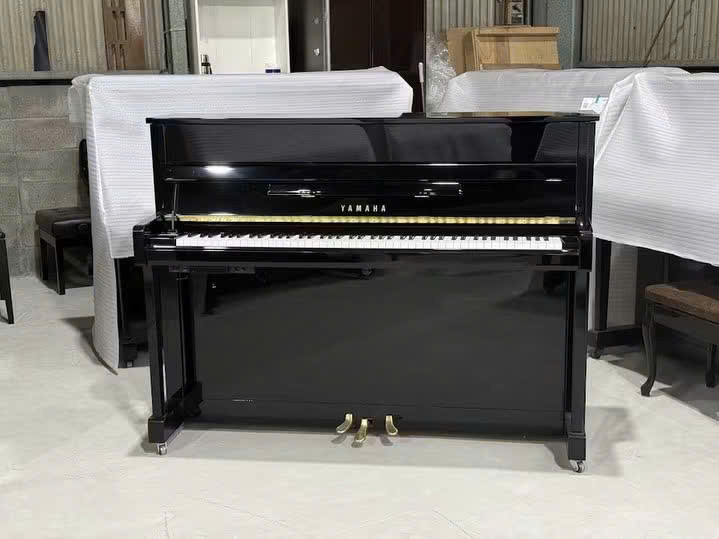 Giá Đàn Piano Yamaha B113
