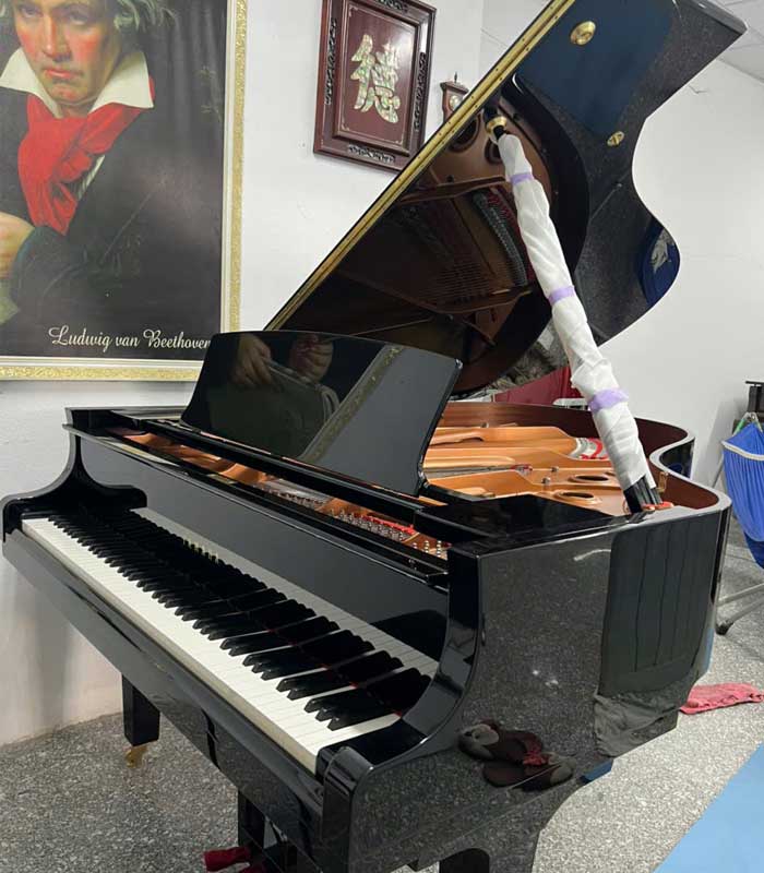 Grand Yamaha C3X like new