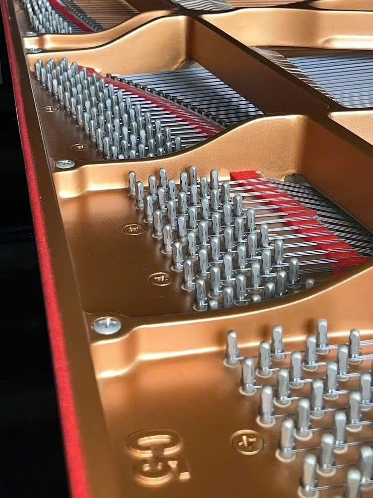 Review đàn piano Grand Yamaha C5A