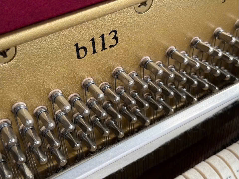 Giá Đàn Piano Yamaha B113 Chi Tiết Mới Nhất 2026
