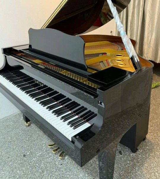 Grand Kawai RX2A Và RX2A Like New Khác Gì Nhau?